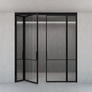 Перегородка-гармошка с бесцветным стеклом DIRONTA