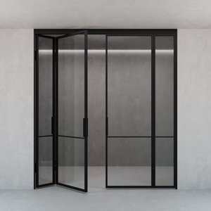 Перегородка-гармошка с бесцветным стеклом DIRONTA 160 х 260 см