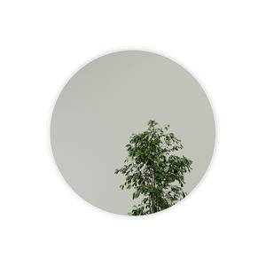 Зеркало в белой раме RAUNTEL L, 101 х 101 см